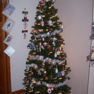 My tree