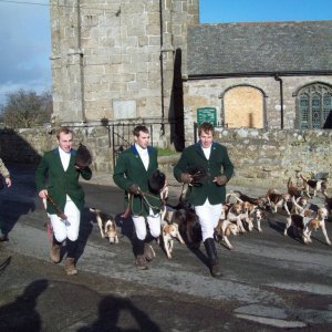 The Lambo Beagles