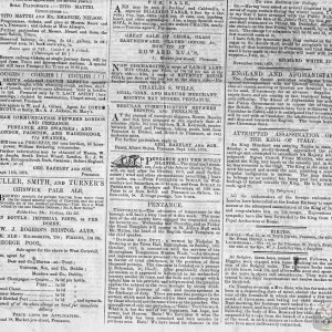 Tidings 18th November 1878 Lower Part Page 1