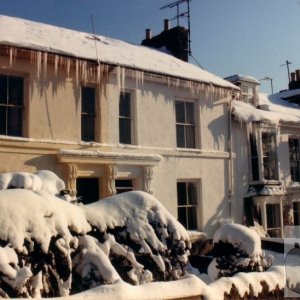 Snow 1987