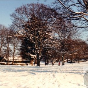 Penlee Park 1987