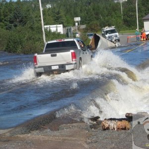 Newfoundland (2)