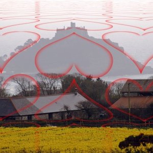 dont we just love it