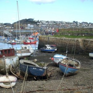 Harbour View