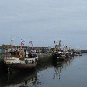 Harbour View