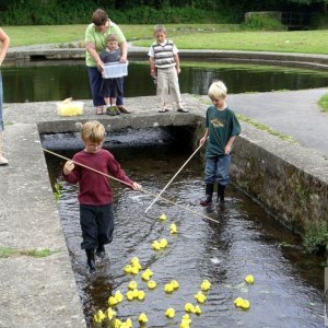 Annual Duck Race