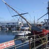 Wet Dock