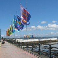 Flags 3