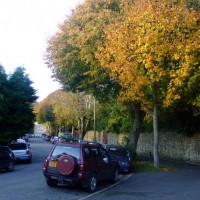 Trewithen Road in Autumn, 4th Nov10