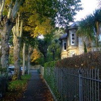 Trewithen Road to Penlee Park entrance in Autumn, 4th Nov10