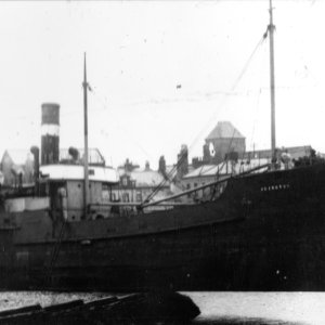 SS Abington.jpg