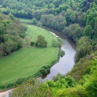 Symonds Yat - 1