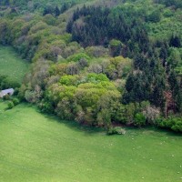 Symonds Yat - 4