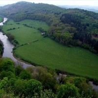 Symonds Yat - 6