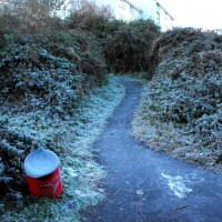 Frosty lane