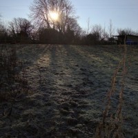 Frosty Hill