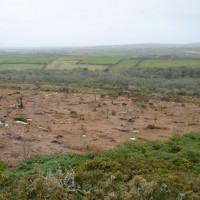 MADRON CARN