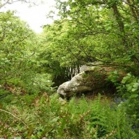 Trevelloe House and Carn - 2nd May, 2011