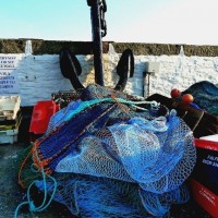 Quayside - St Mawes