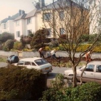 Harbour View Crescent