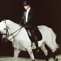 Lipizzaner