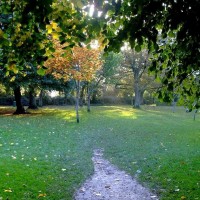 Autumn scene in Penlee Park