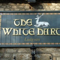 The White Hart Inn sign - 28Oct11