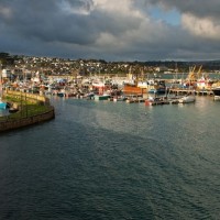 Early Evening In The Harbour