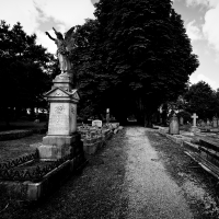 Graveyard Angel II