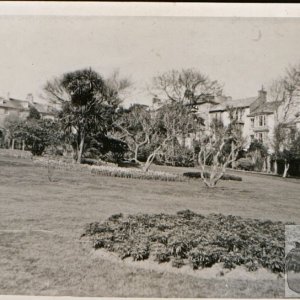 Morrab Garden 1960s