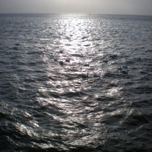 Around  the  prom  Penzance.