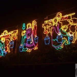 'Eight maids a-milking' - [Angarrack]