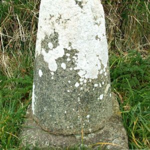 Partner to the Ring - 17Mar10