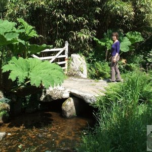 Old bridge over the river, Penberth