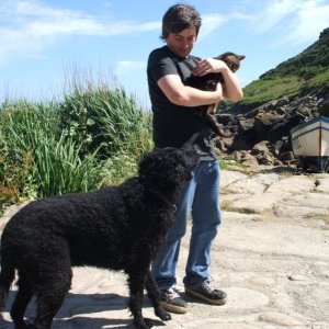 Very friendly animals at Penberth?