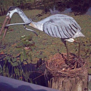 The heron that laid the golden eggs