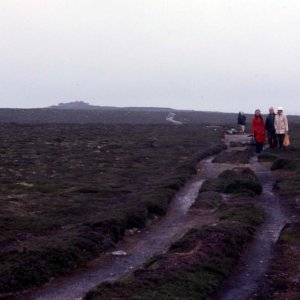 Moorland, Tresco -Scilly