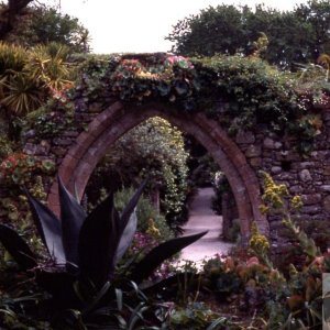 Other side of the old priory arch, Tresco, Scilly