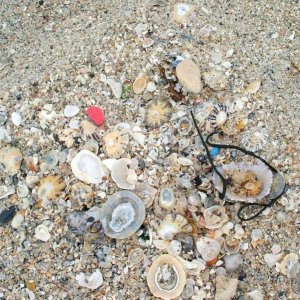 Gwynver, Sennen, 27th July, 2008