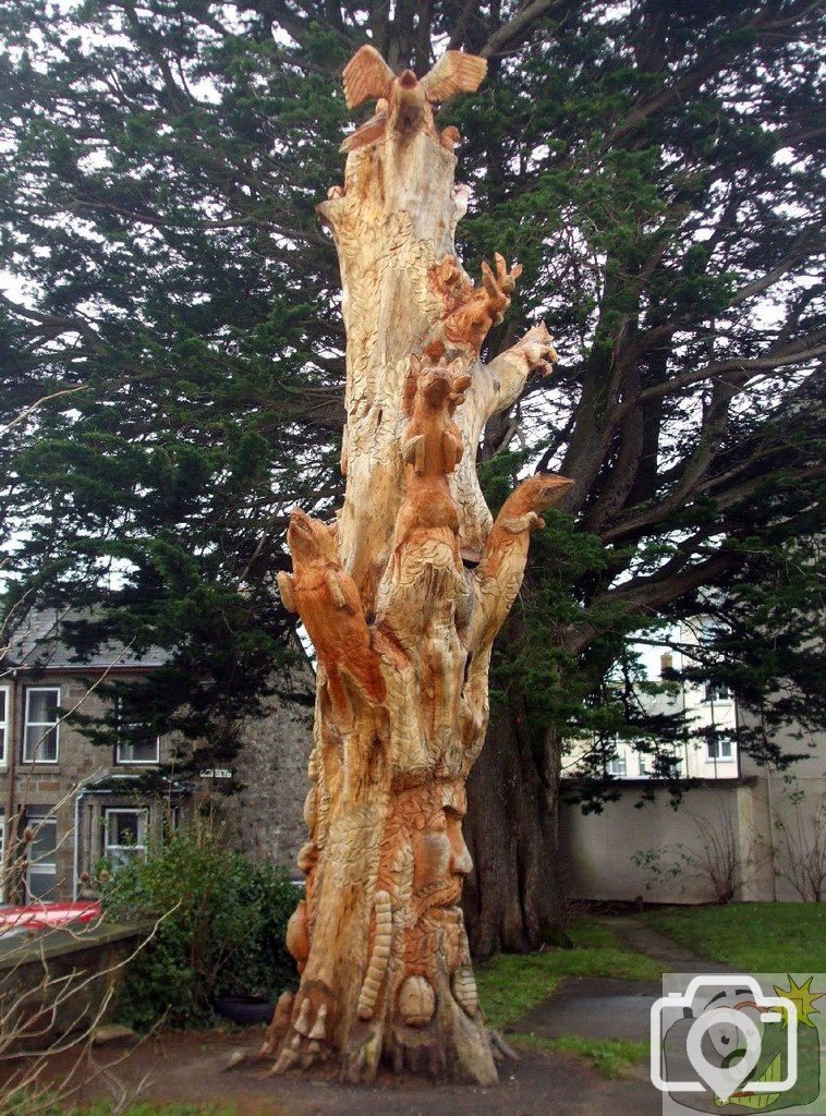 1-Carved tree, Penzance - 4th Dec., 2009