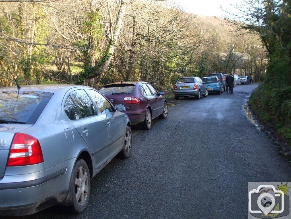 17th Jan., 2010: Arrival at Penberth. We're not alone.