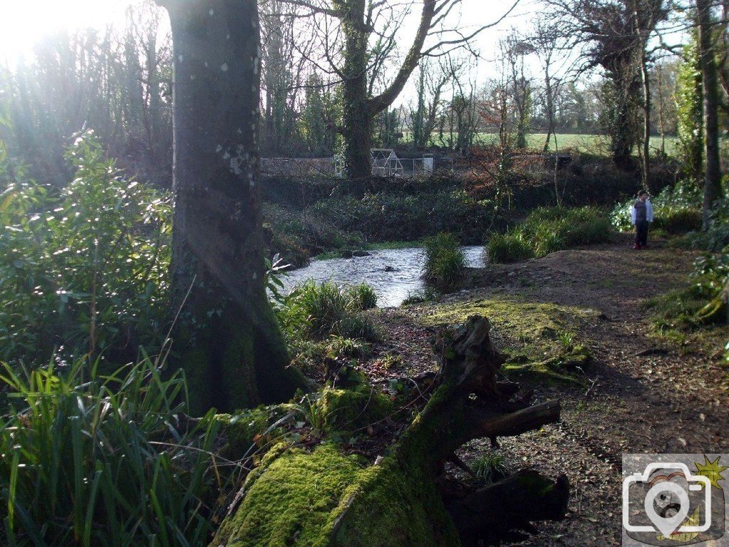 17th Jan., 2010: Castle Horneck: the river