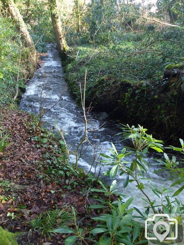 17th Jan., 2010: Castle Horneck: the river