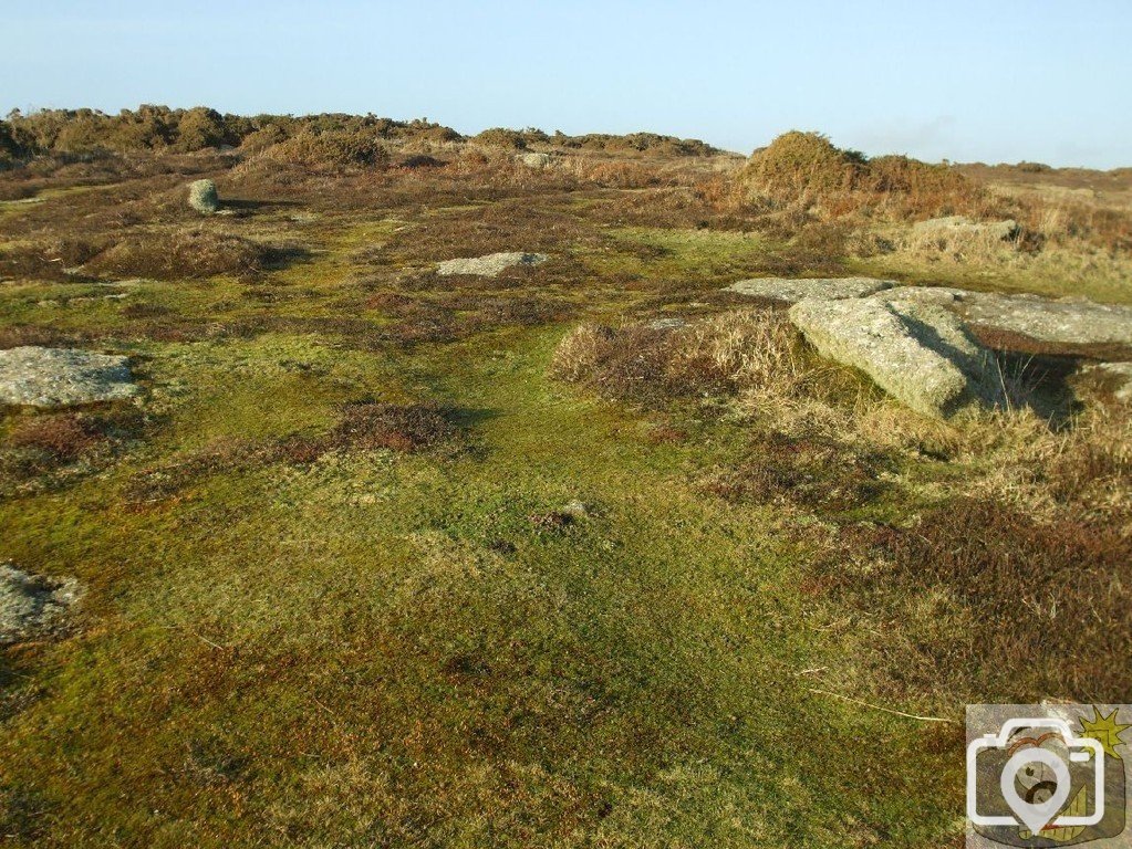 17th Jan, 2010: View from Cribba Head, west of Penberth