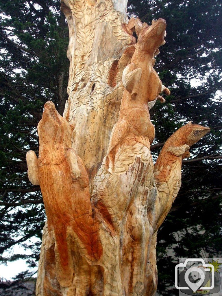 3-Carved tree, Penzance - 4th Dec., 2009