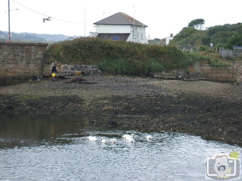 A corner of the Estuary, Hayle