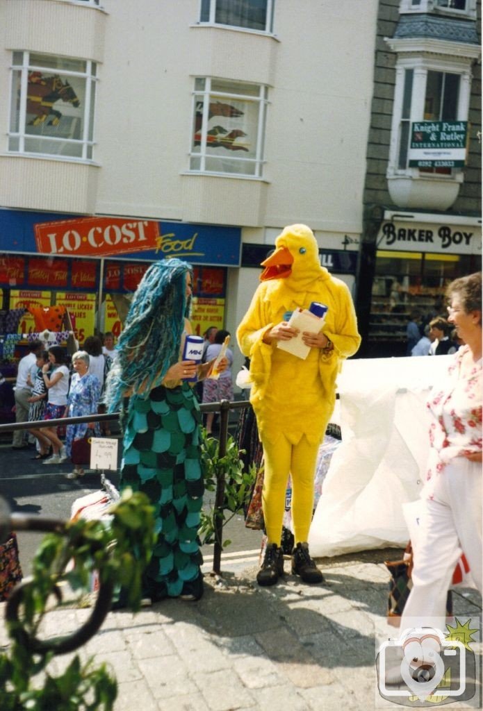 A Mermaid chats to a Duck