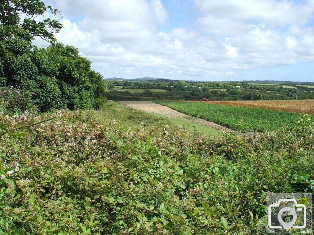 Across the main road at Whitecross - The View Eastward to Godolphin and Tre