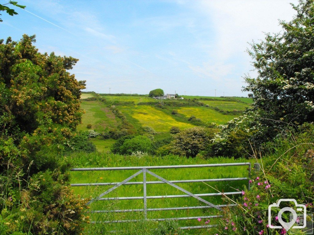 Across the valley