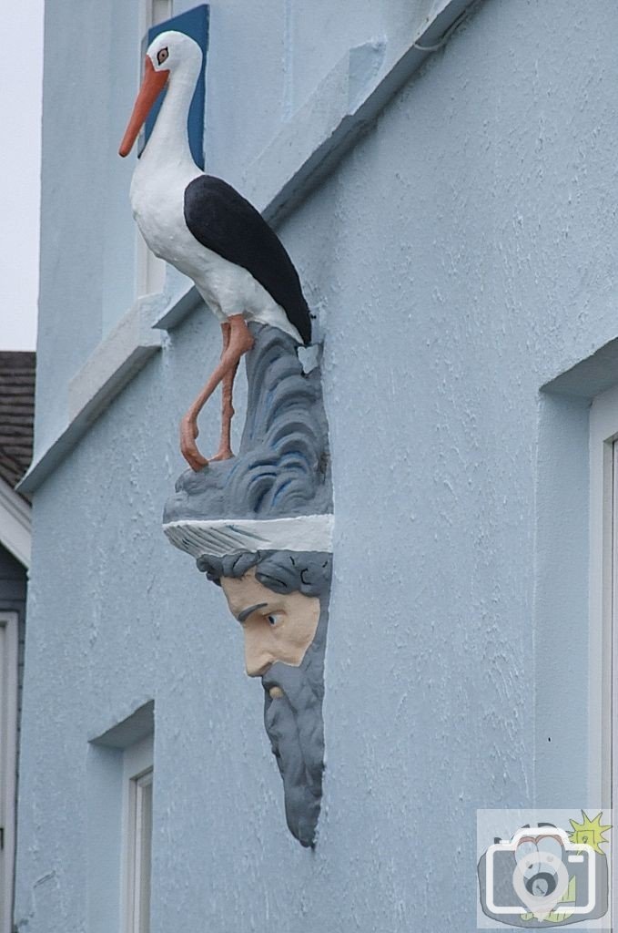 Albert Terrace ... Stork and Neptune